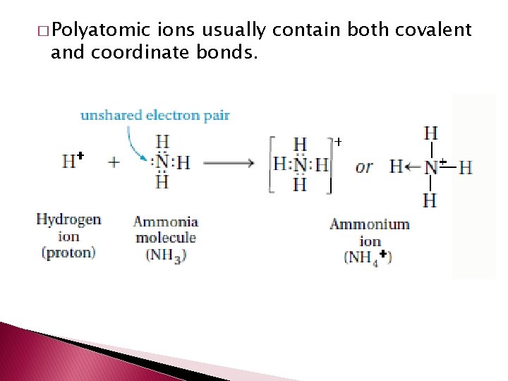 � Polyatomic ions usually contain both covalent and coordinate bonds. 