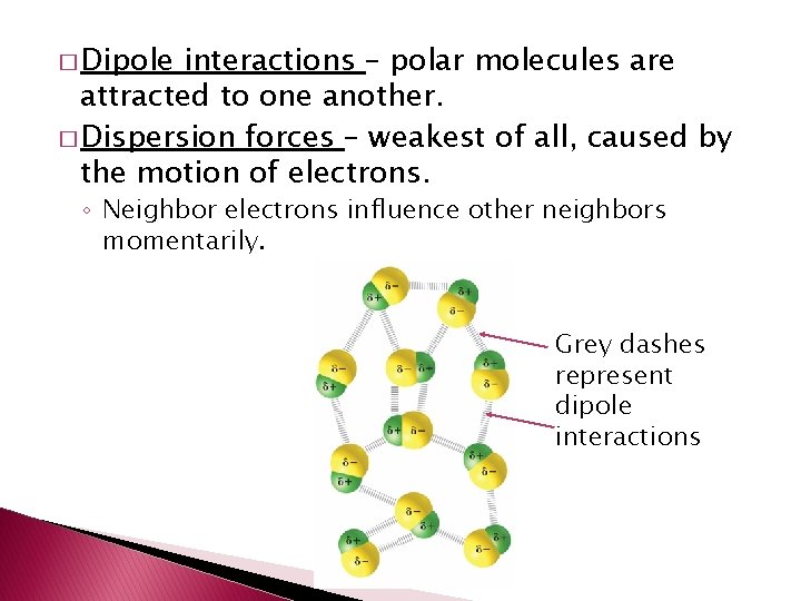 � Dipole interactions – polar molecules are attracted to one another. � Dispersion forces