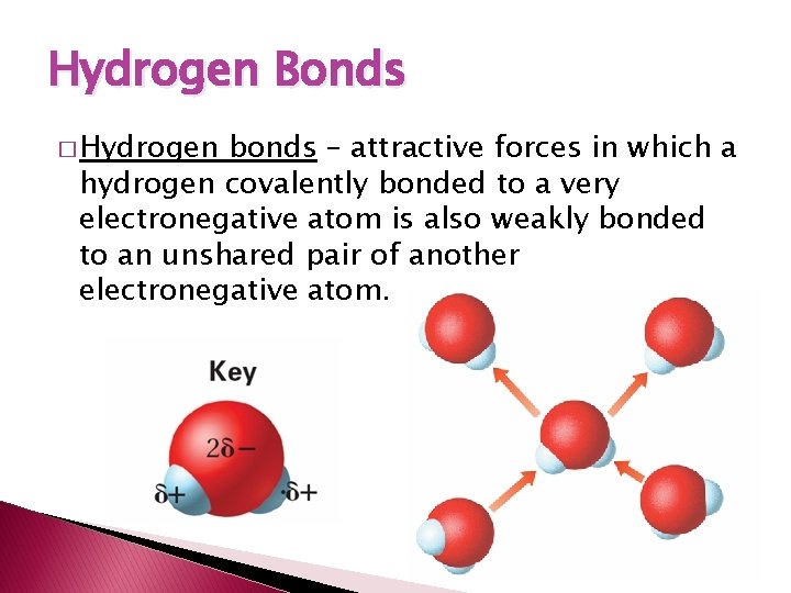 Hydrogen Bonds � Hydrogen bonds – attractive forces in which a hydrogen covalently bonded