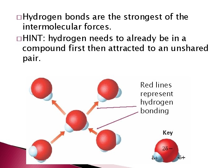 � Hydrogen bonds are the strongest of the intermolecular forces. � HINT: hydrogen needs