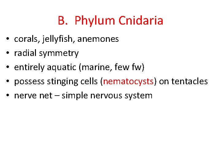 B. Phylum Cnidaria • • • corals, jellyfish, anemones radial symmetry entirely aquatic (marine,