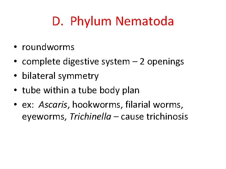 D. Phylum Nematoda • • • roundworms complete digestive system – 2 openings bilateral