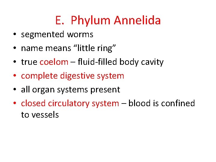 E. Phylum Annelida • • • segmented worms name means “little ring” true coelom