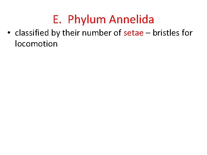 E. Phylum Annelida • classified by their number of setae – bristles for locomotion