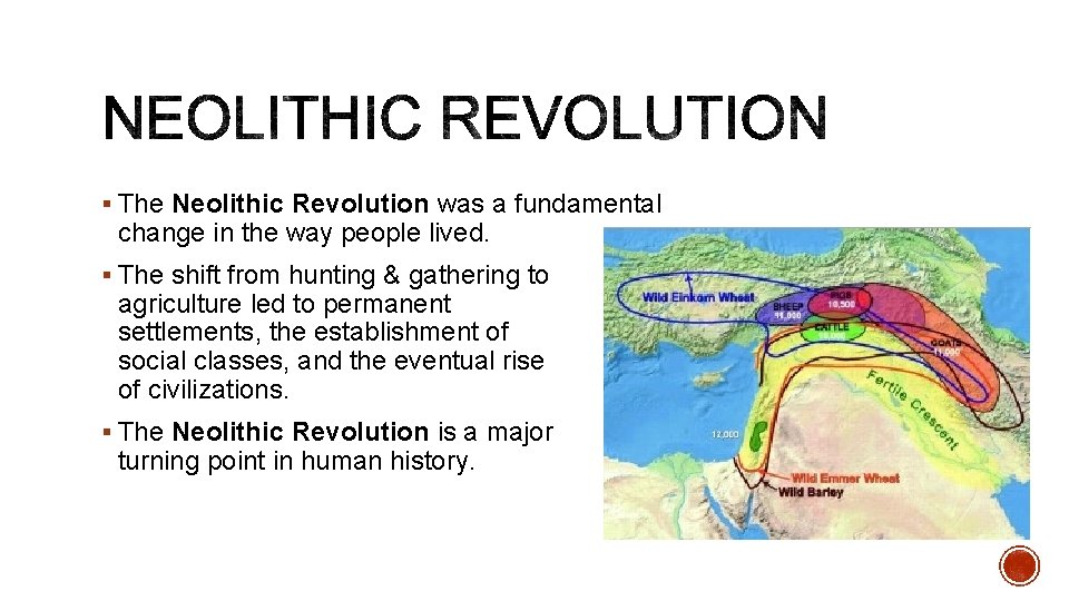 § The Neolithic Revolution was a fundamental change in the way people lived. §