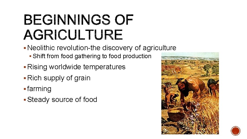 § Neolithic revolution-the discovery of agriculture § Shift from food gathering to food production