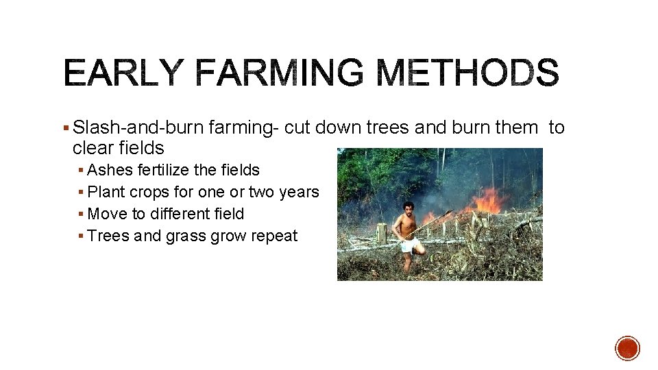 § Slash-and-burn farming- cut down trees and burn them to clear fields § Ashes