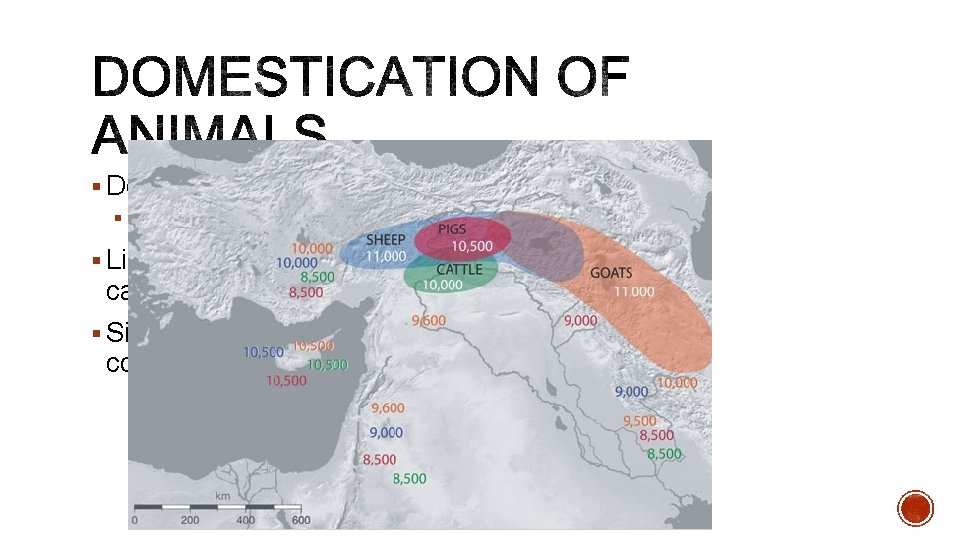 § Domestication- taming of animals § Horses, dogs, goats, pigs § Like farming, domestication