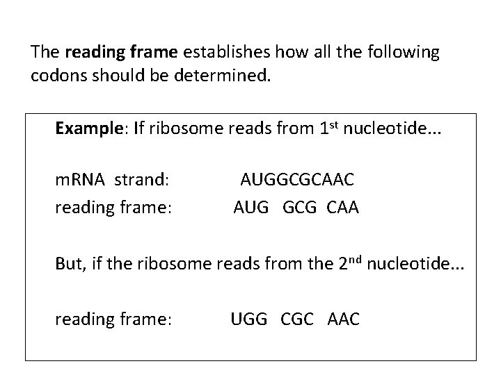 The reading frame establishes how all the following codons should be determined. Example: If