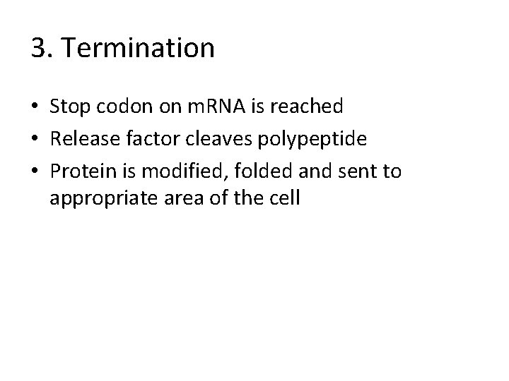 3. Termination • Stop codon on m. RNA is reached • Release factor cleaves