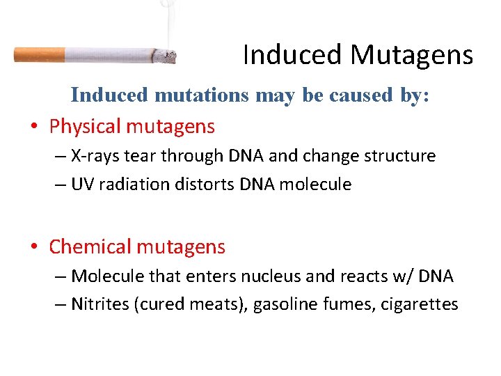 Induced Mutagens Induced mutations may be caused by: • Physical mutagens – X-rays tear