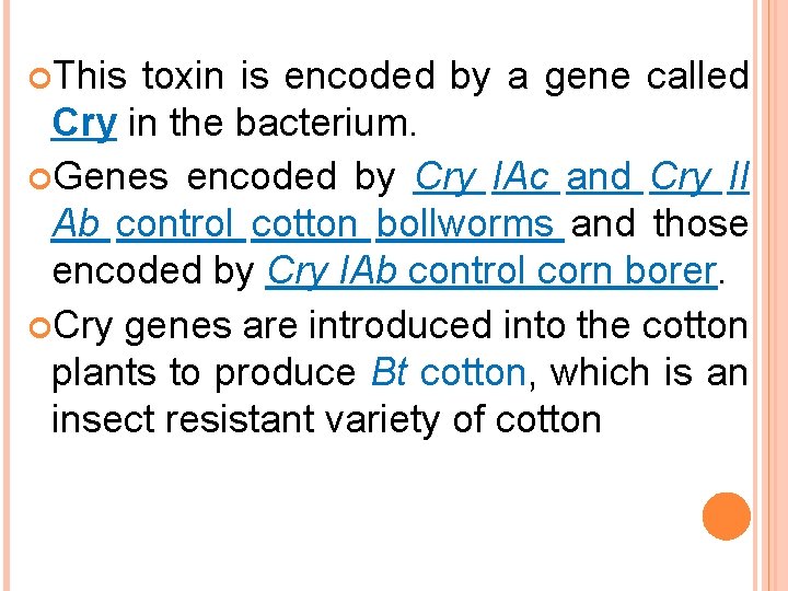  This toxin is encoded by a gene called Cry in the bacterium. Genes