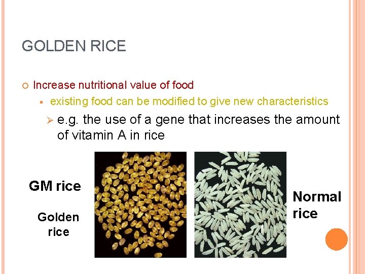 GOLDEN RICE Increase nutritional value of food § existing food can be modified to