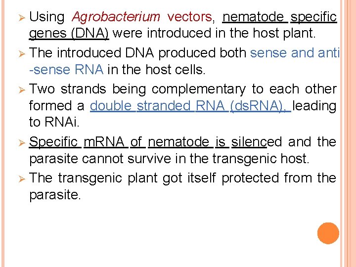 Ø Using Agrobacterium vectors, nematode specific genes (DNA) were introduced in the host plant.