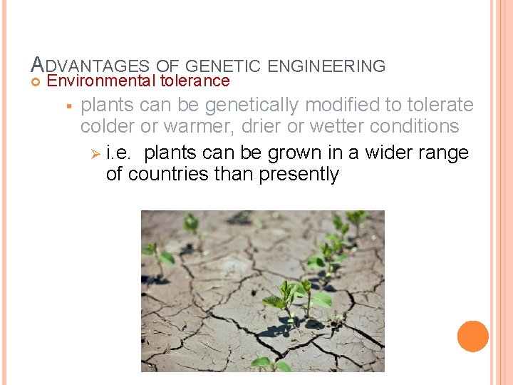 ADVANTAGES OF GENETIC ENGINEERING Environmental tolerance § plants can be genetically modified to tolerate