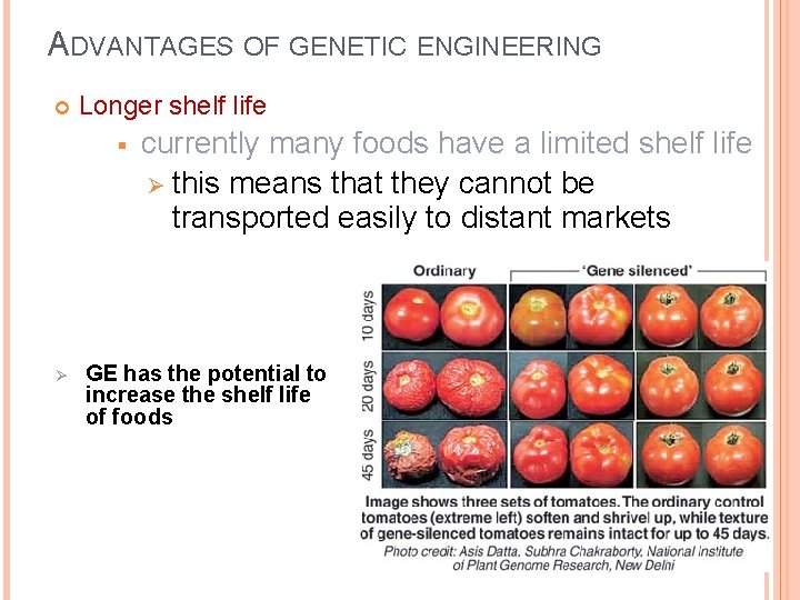 ADVANTAGES OF GENETIC ENGINEERING Longer shelf life § Ø currently many foods have a