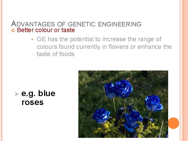 ADVANTAGES OF GENETIC ENGINEERING Better colour or taste § GE has the potential to