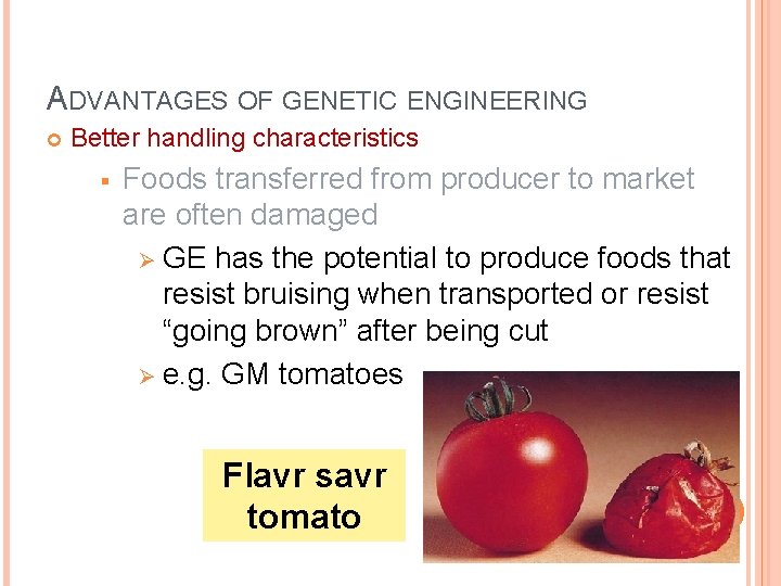 ADVANTAGES OF GENETIC ENGINEERING Better handling characteristics § Foods transferred from producer to market