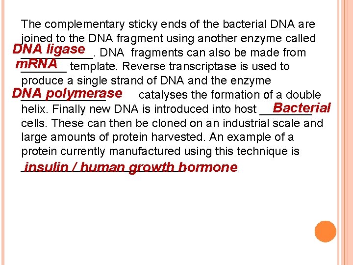 The complementary sticky ends of the bacterial DNA are joined to the DNA fragment