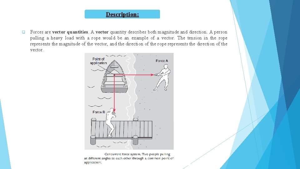 Description: q Forces are vector quantities. A vector quantity describes both magnitude and direction.