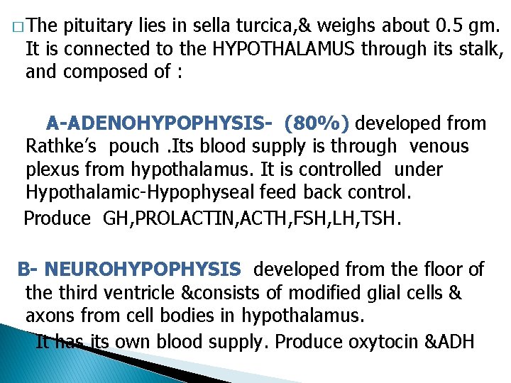 � The pituitary lies in sella turcica, & weighs about 0. 5 gm. It
