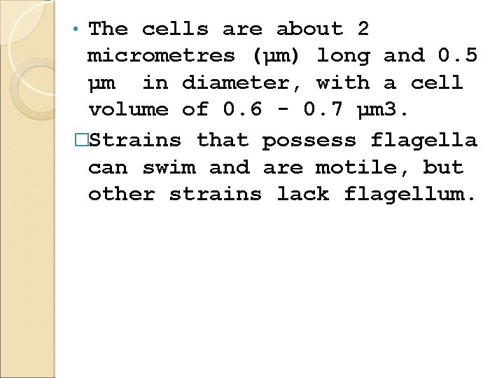 The cells are about 2 micrometres (μm) long and 0. 5 μm in diameter,