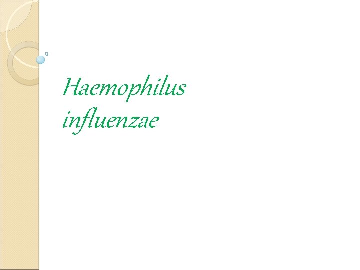 Haemophilus influenzae 