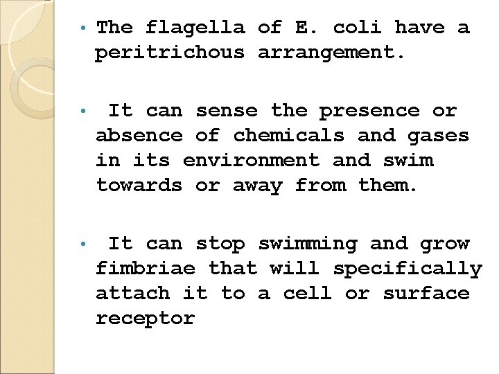  • The flagella of E. coli have a peritrichous arrangement. • It can