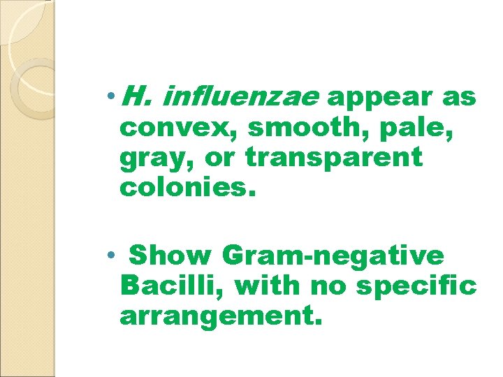  • H. influenzae appear as convex, smooth, pale, gray, or transparent colonies. •