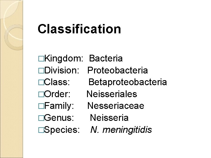 Classification �Kingdom: Bacteria �Division: Proteobacteria �Class: Betaproteobacteria �Order: Neisseriales �Family: Nesseriaceae �Genus: Neisseria �Species:
