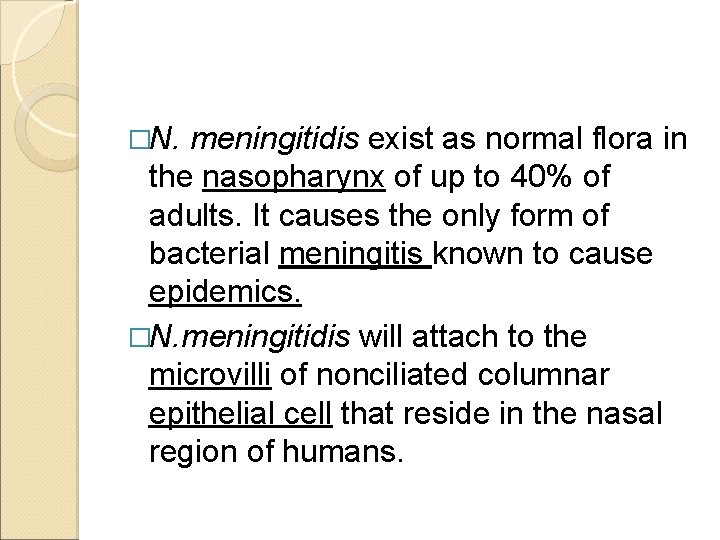 �N. meningitidis exist as normal flora in the nasopharynx of up to 40% of