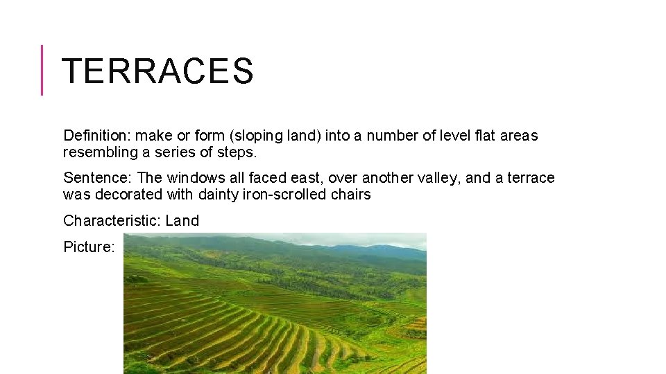 TERRACES Definition: make or form (sloping land) into a number of level flat areas