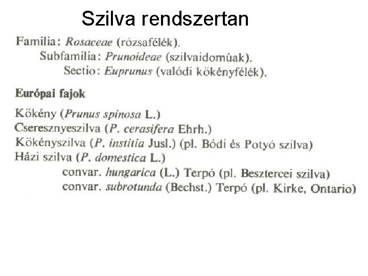 Szilva rendszertan 