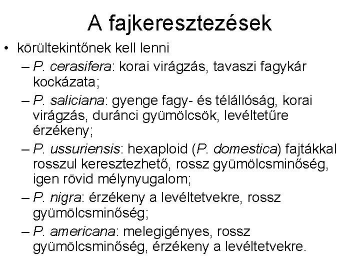 A fajkeresztezések • körültekintőnek kell lenni – P. cerasifera: korai virágzás, tavaszi fagykár kockázata;