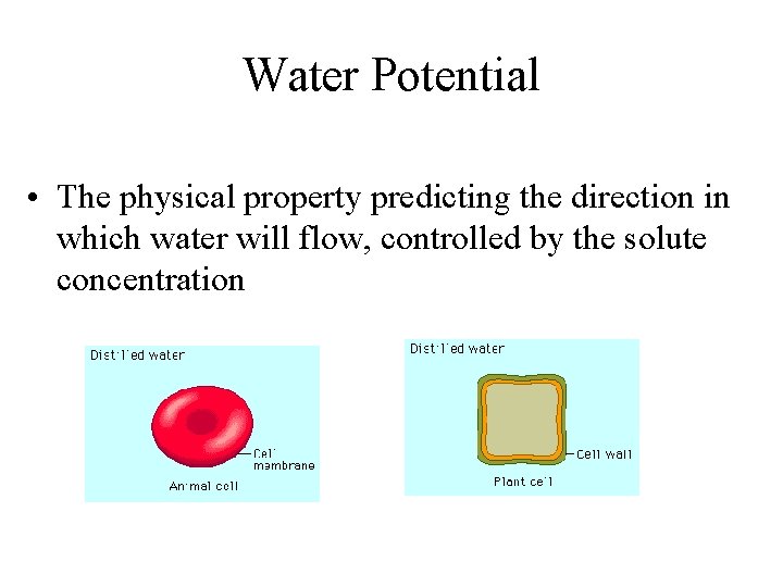 Water Potential • The physical property predicting the direction in which water will flow,