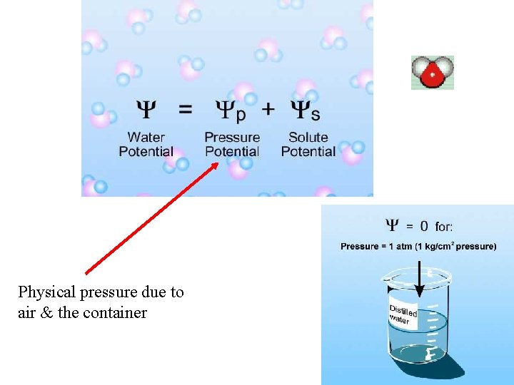 Physical pressure due to air & the container 