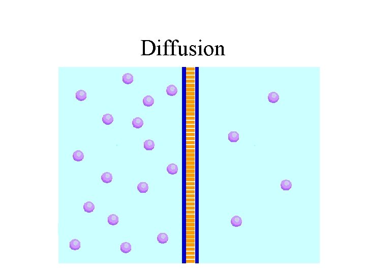 Diffusion 