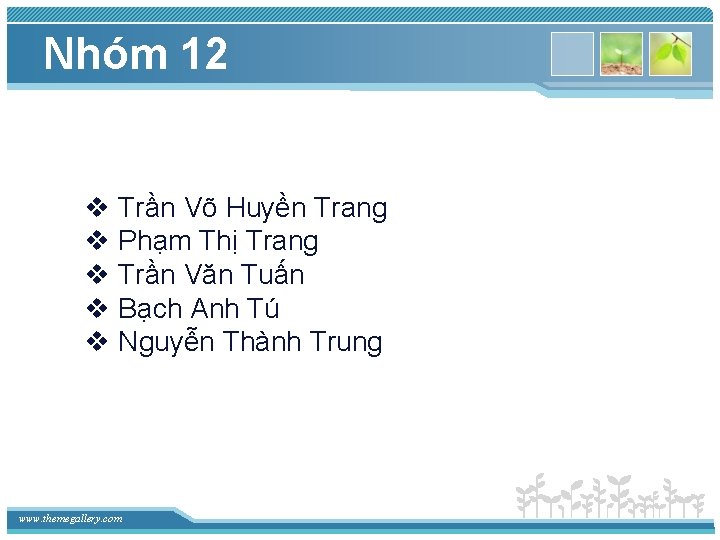 Nhóm 12 v Trần Võ Huyền Trang v Phạm Thị Trang v Trần Văn