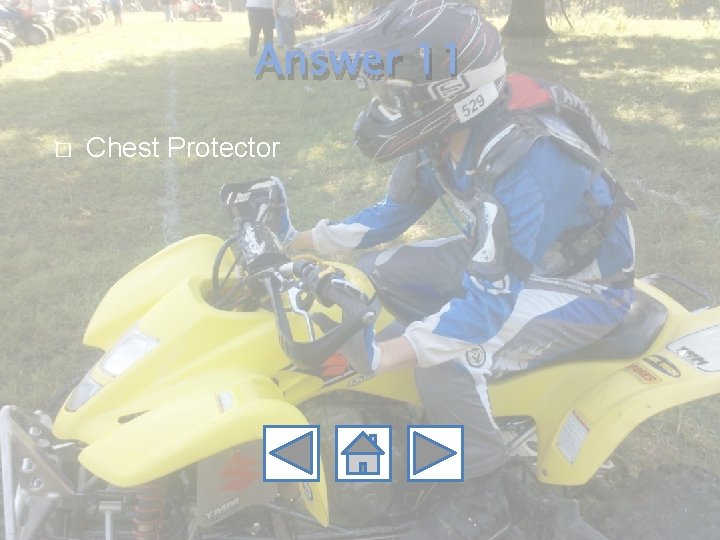 Answer 11 � Chest Protector 