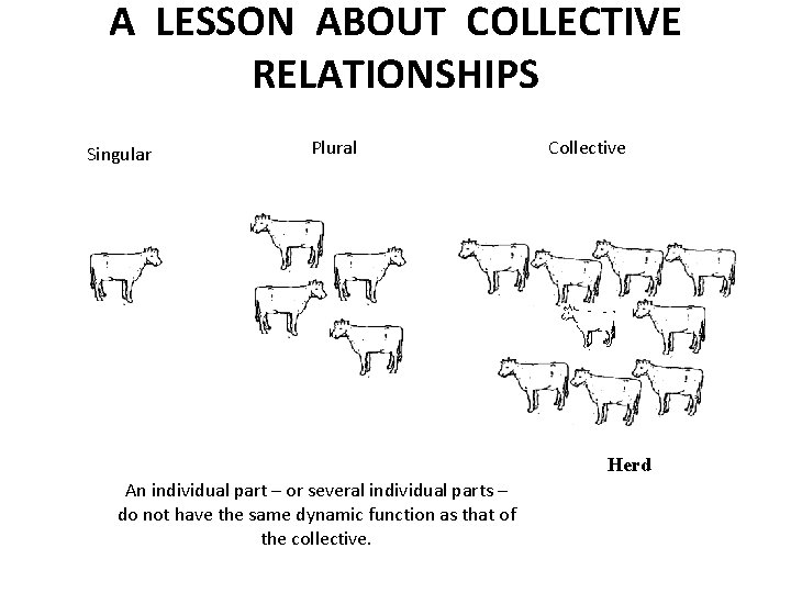 A LESSON ABOUT COLLECTIVE RELATIONSHIPS Singular Plural Collective Herd An individual part – or