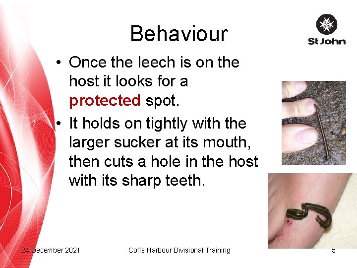 Behaviour • Once the leech is on the host it looks for a protected
