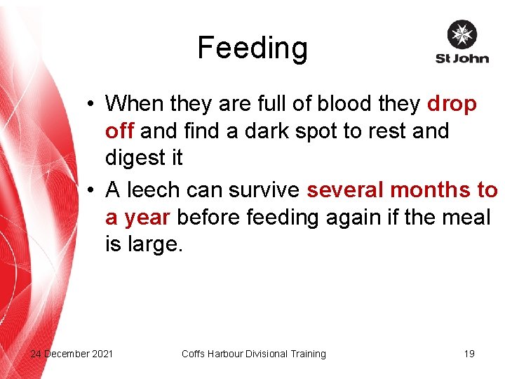 Feeding • When they are full of blood they drop off and find a