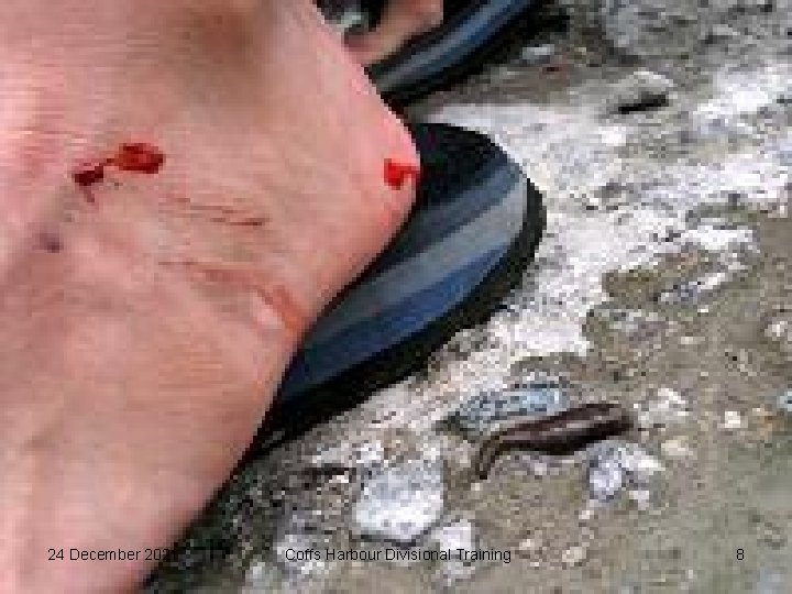 24 December 2021 Coffs Harbour Divisional Training 8 