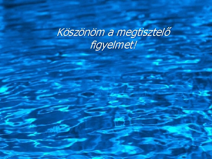 Köszönöm a megtisztelő figyelmet! 