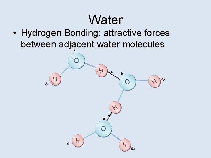 Water • Hydrogen Bonding: attractive forces between adjacent water molecules δ O δ+ H