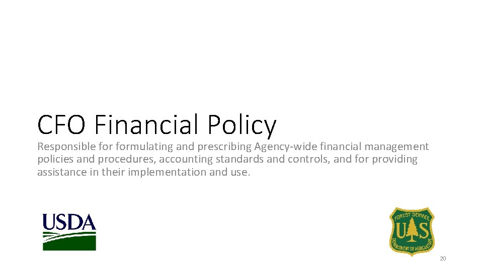 CFO Financial Policy Responsible formulating and prescribing Agency-wide financial management policies and procedures, accounting
