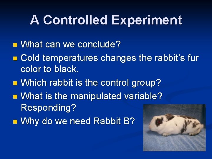 A Controlled Experiment What can we conclude? n Cold temperatures changes the rabbit’s fur