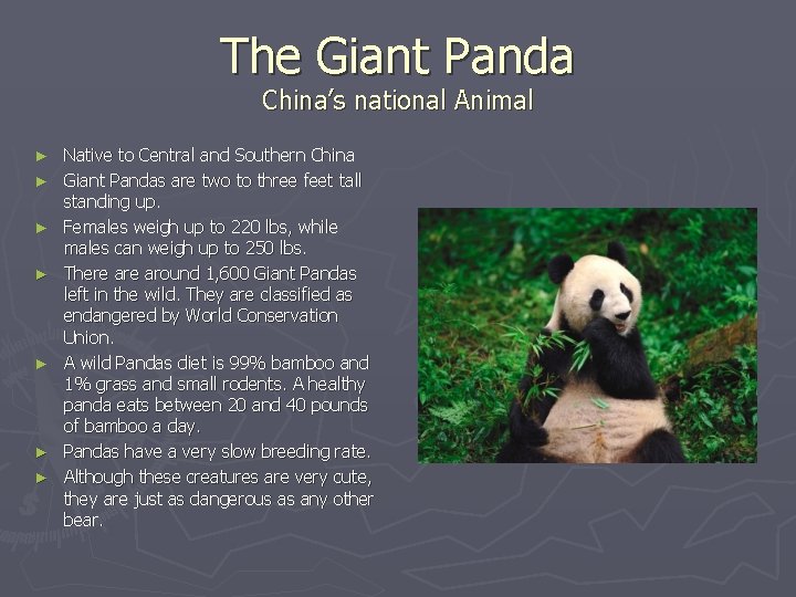 The Giant Panda China’s national Animal ► ► ► ► Native to Central and