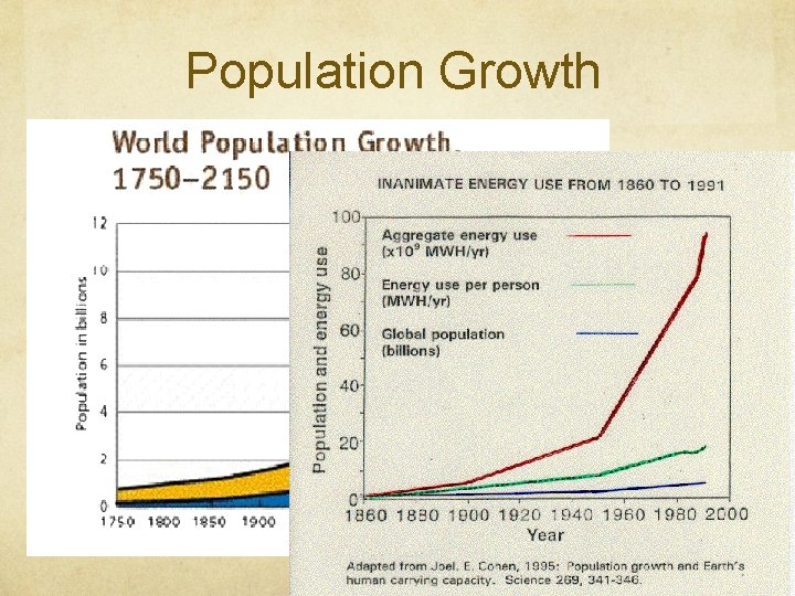 Population Growth 