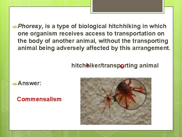  Phoresy, is a type of biological hitchhiking in which one organism receives access